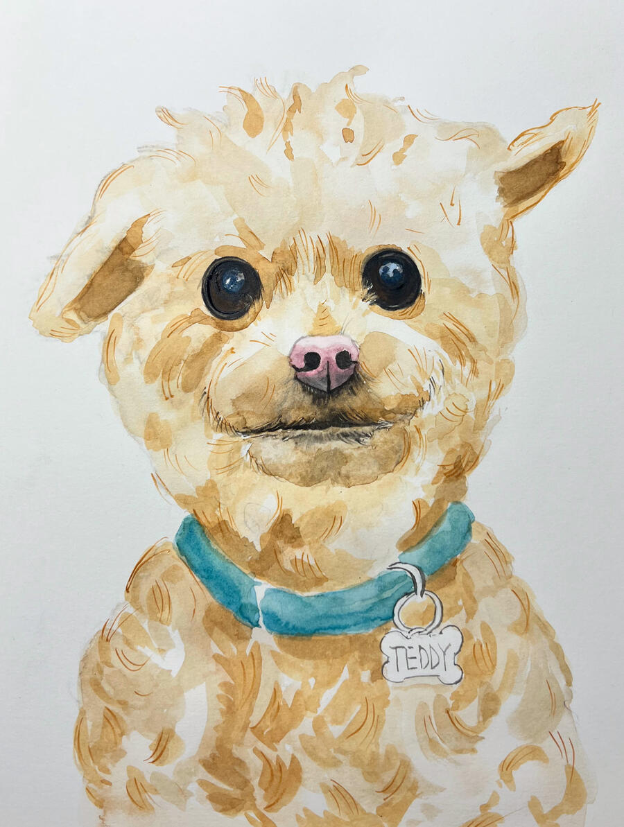 Teddy the Dog Color Portrait